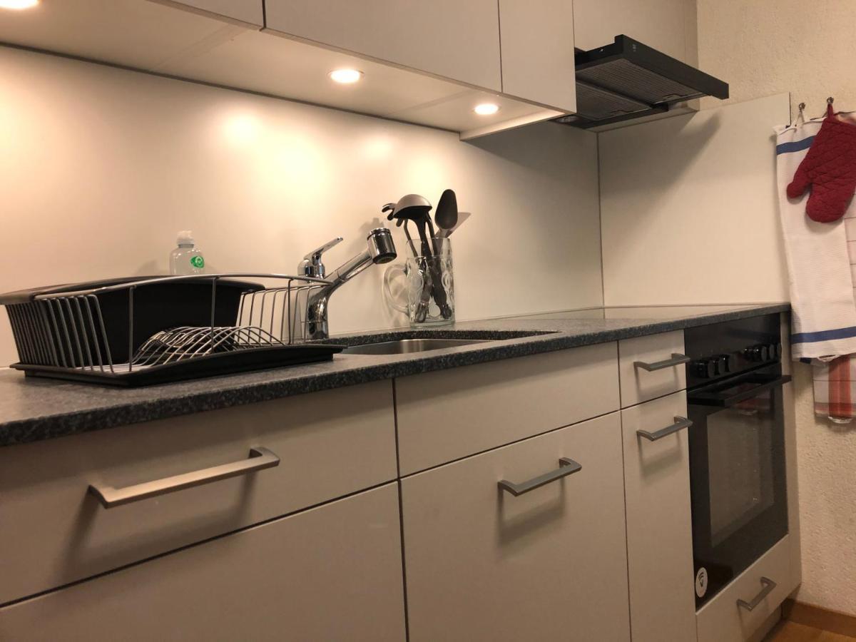 Superior Apartment 100M2 Bodmisonne - กรินเดลวัลด์ ภายนอก รูปภาพ