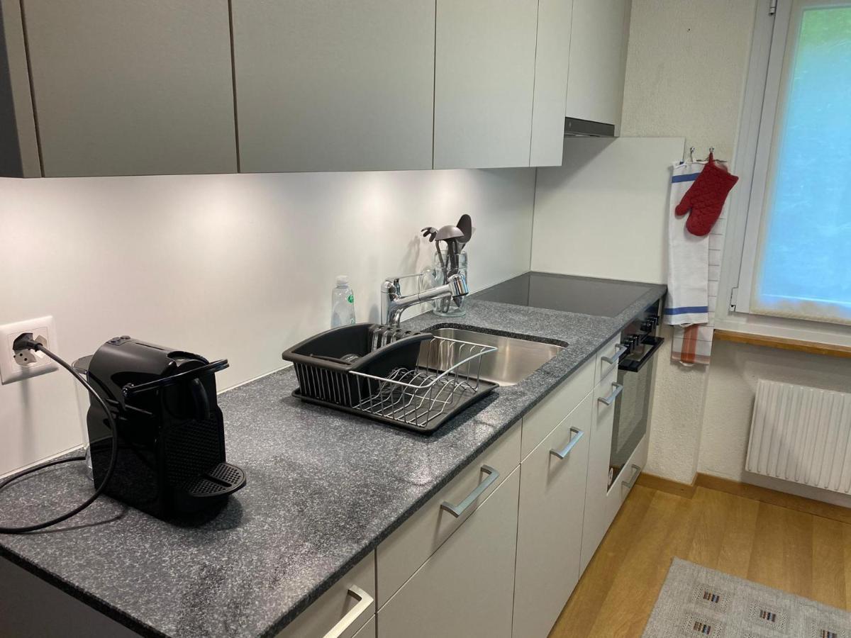 Superior Apartment 100M2 Bodmisonne - กรินเดลวัลด์ ภายนอก รูปภาพ